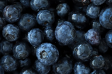 蓝莓苗(蓝莓苗：种植和养护技巧)