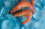 小清新美食网--海虾的妙用