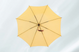 伞用英语怎么说(伞用英语怎么说？ | 了解雨具文化)